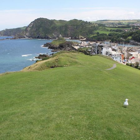 The Harbour Lights Bed and Breakfast Ilfracombe Buitenkant foto