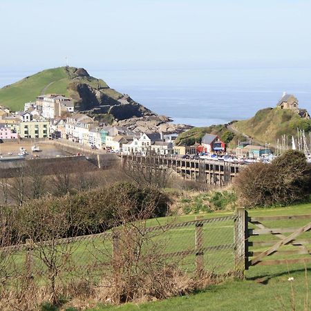 The Harbour Lights Bed and Breakfast Ilfracombe Buitenkant foto