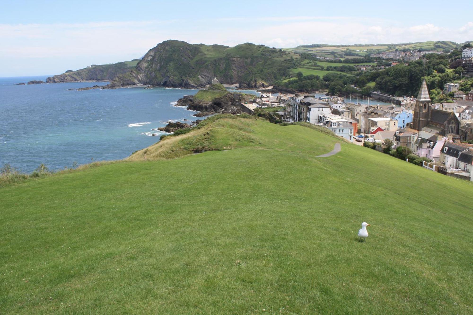 The Harbour Lights Bed and Breakfast Ilfracombe Buitenkant foto