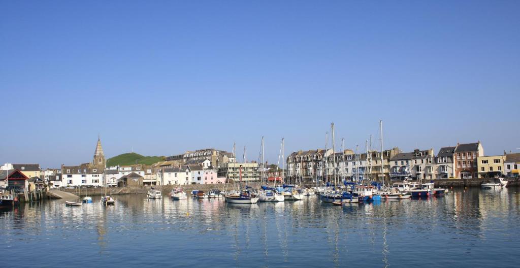 The Harbour Lights Bed and Breakfast Ilfracombe Buitenkant foto