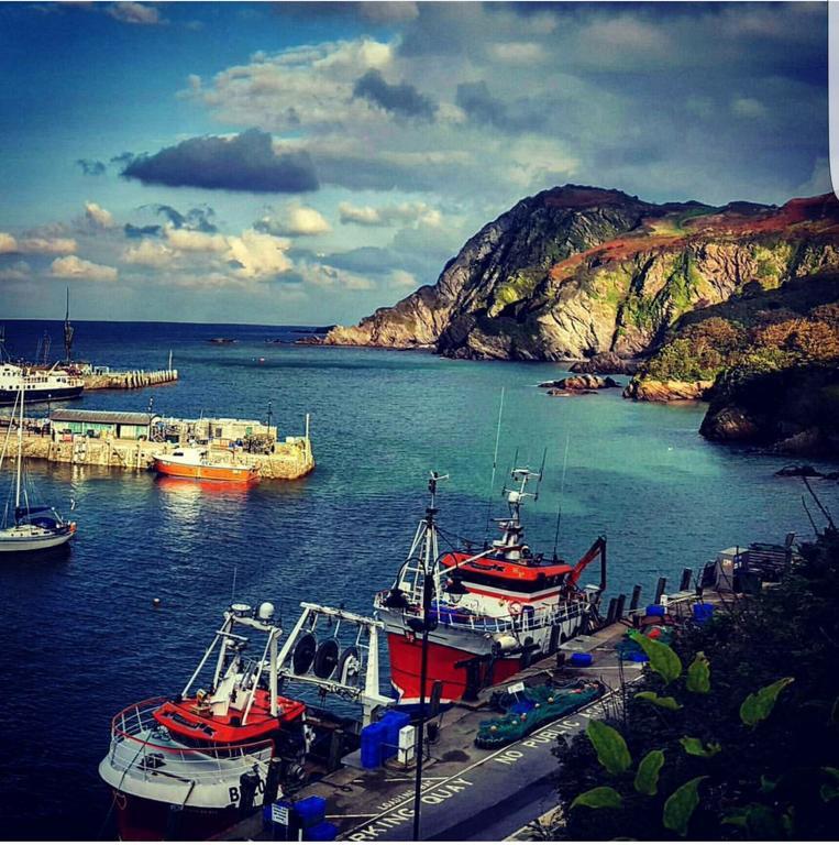 The Harbour Lights Bed and Breakfast Ilfracombe Buitenkant foto