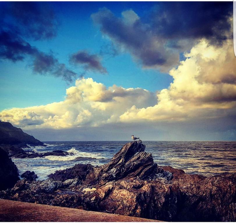 The Harbour Lights Bed and Breakfast Ilfracombe Buitenkant foto